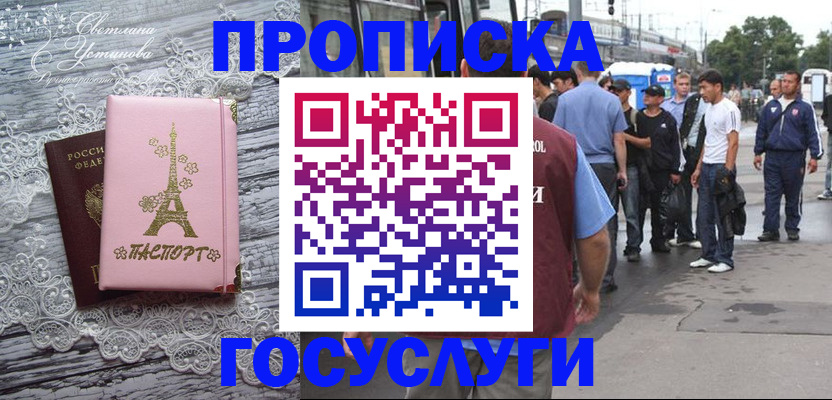 прописка в Тосно